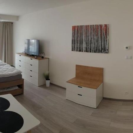 Apartment Korzo 318/3 Lipno nad Vltavou Eksteriør bilde